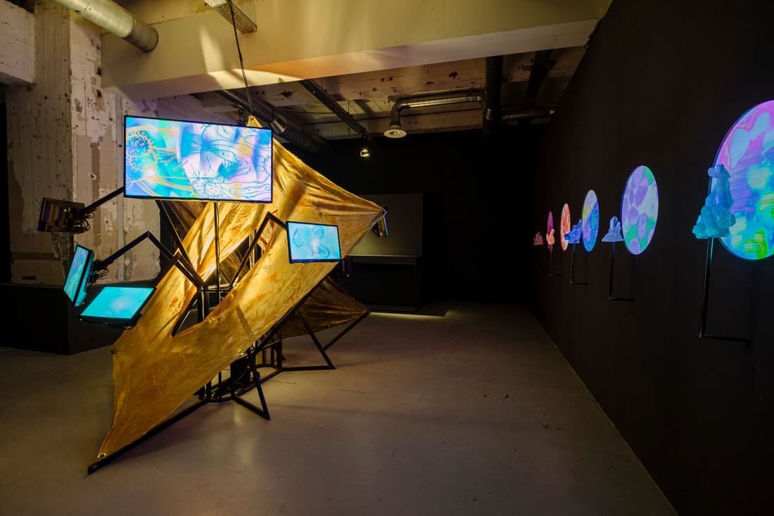 《酷兒解剖學圖譜》涵蓋出版與展覽計畫。圖為「超越界線與二元」展覽現場。攝影／Max Kneefel, MU/BAD Award。顧廣毅提供