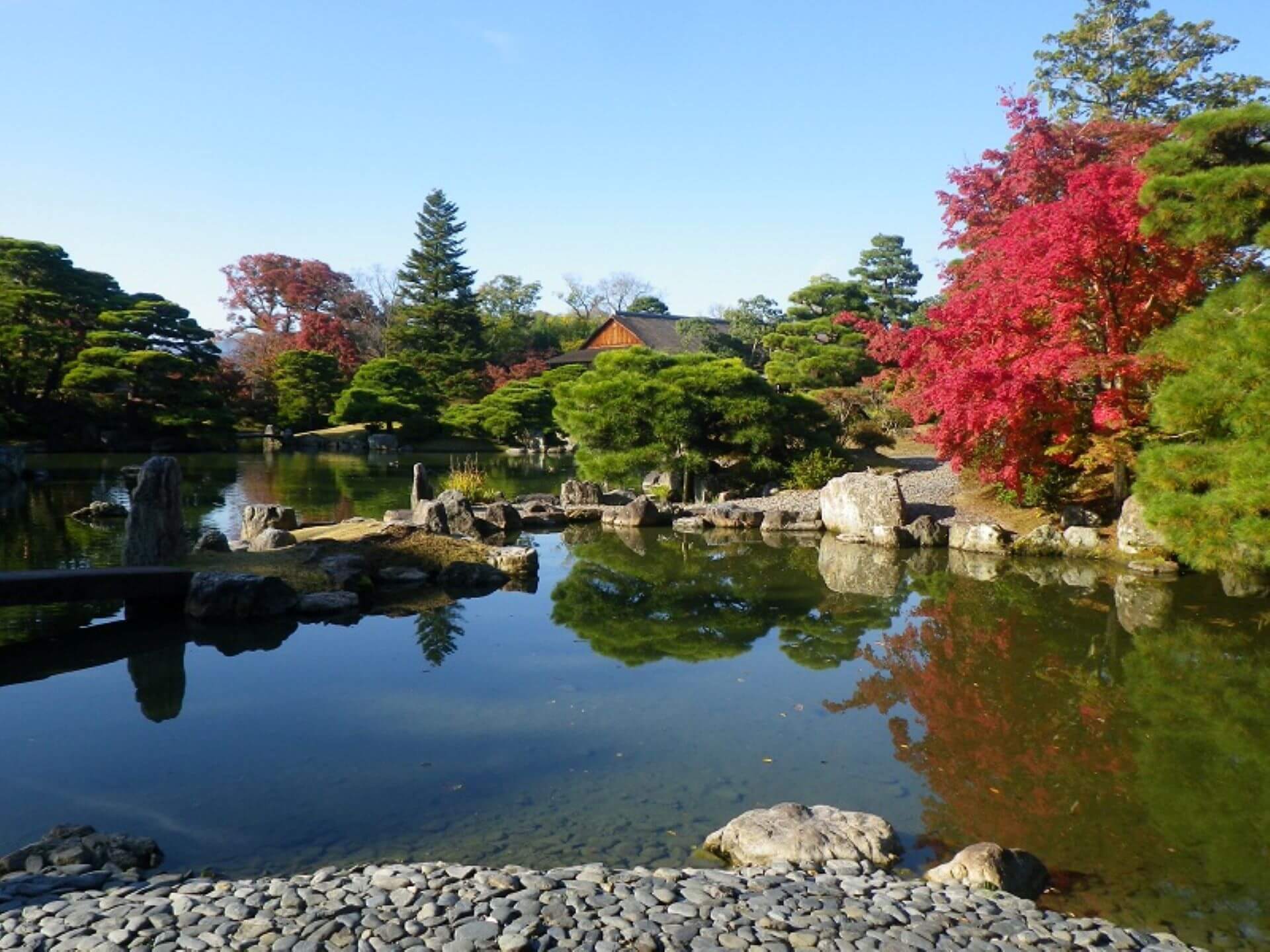 日本國定特別名勝 桂離宮庭園以一座大池為中心，池水引自桂川，池中散布多座小島，以木橋、石橋、土橋串聯，形成層層遞進的漫遊路線。（©日本宮內廳官網）