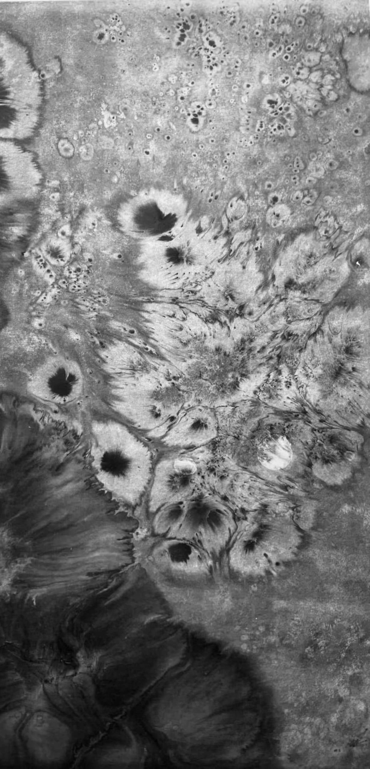 《月光花》（Moon Flower），2024–2025，紙本水墨，138 × 69 公分。（墨齋提供）