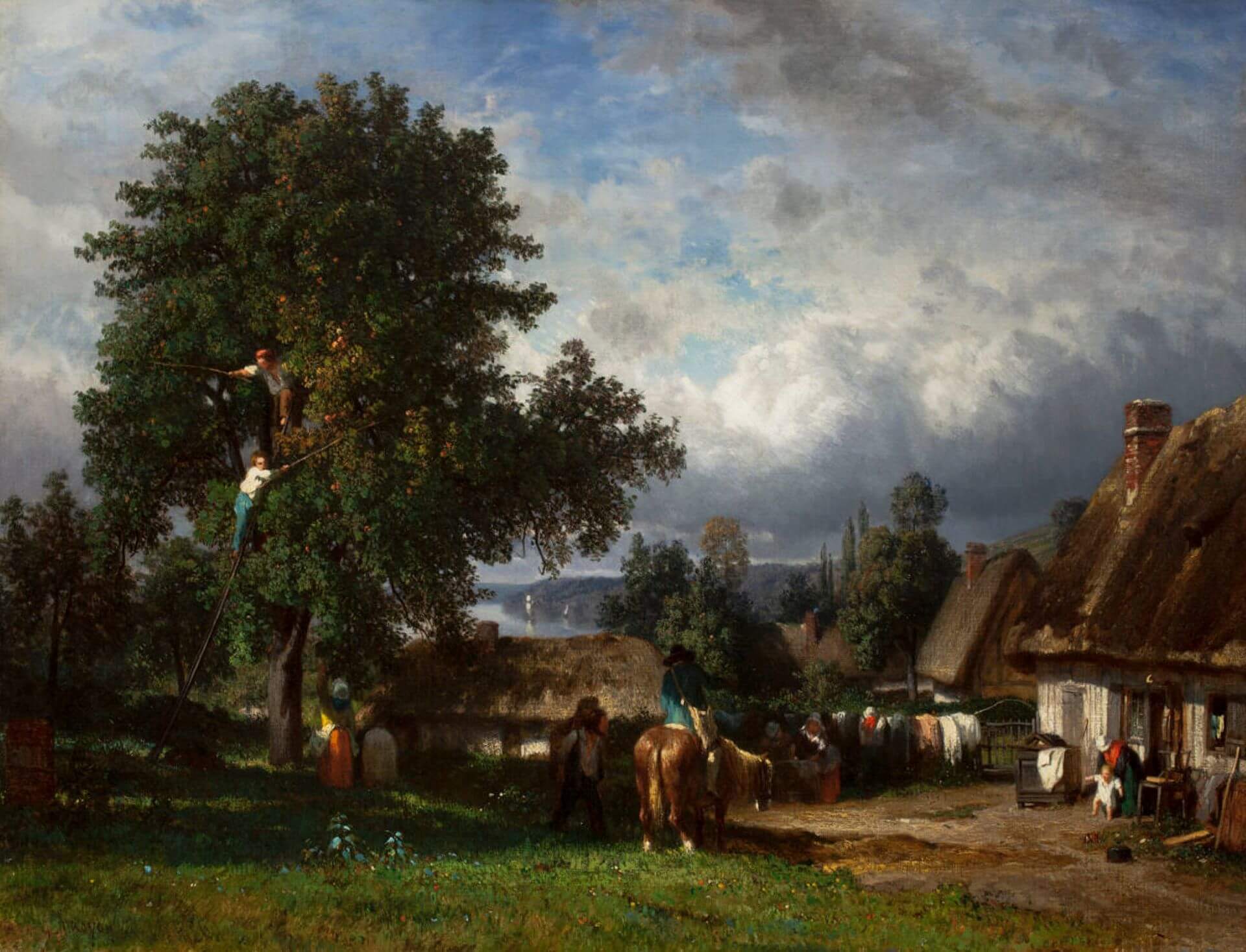 特魯瓦永（Constant Troyon），《諾曼第的蘋果豐收》（Apple Harvest in Normandy），1850年代，油彩畫布，61×81.3公分，伍斯特美術館（Worcester Art Museum）藏。（伍斯特美術館典…