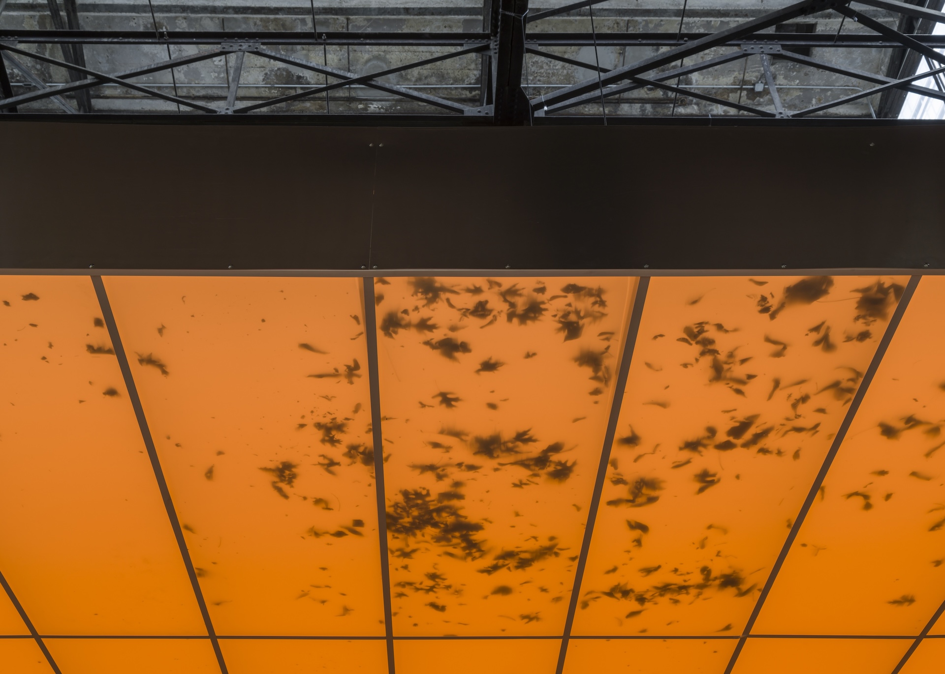 阿瓦羅・烏爾巴諾，《活畫》（裝置一隅），2024-25，紐約 Sculpture Center展覽現場。圖像由藝術家及紐約 SculptureCenter，ChertLüdde （柏林），Travesia Cuatro（馬德里、墨西哥城、瓜…