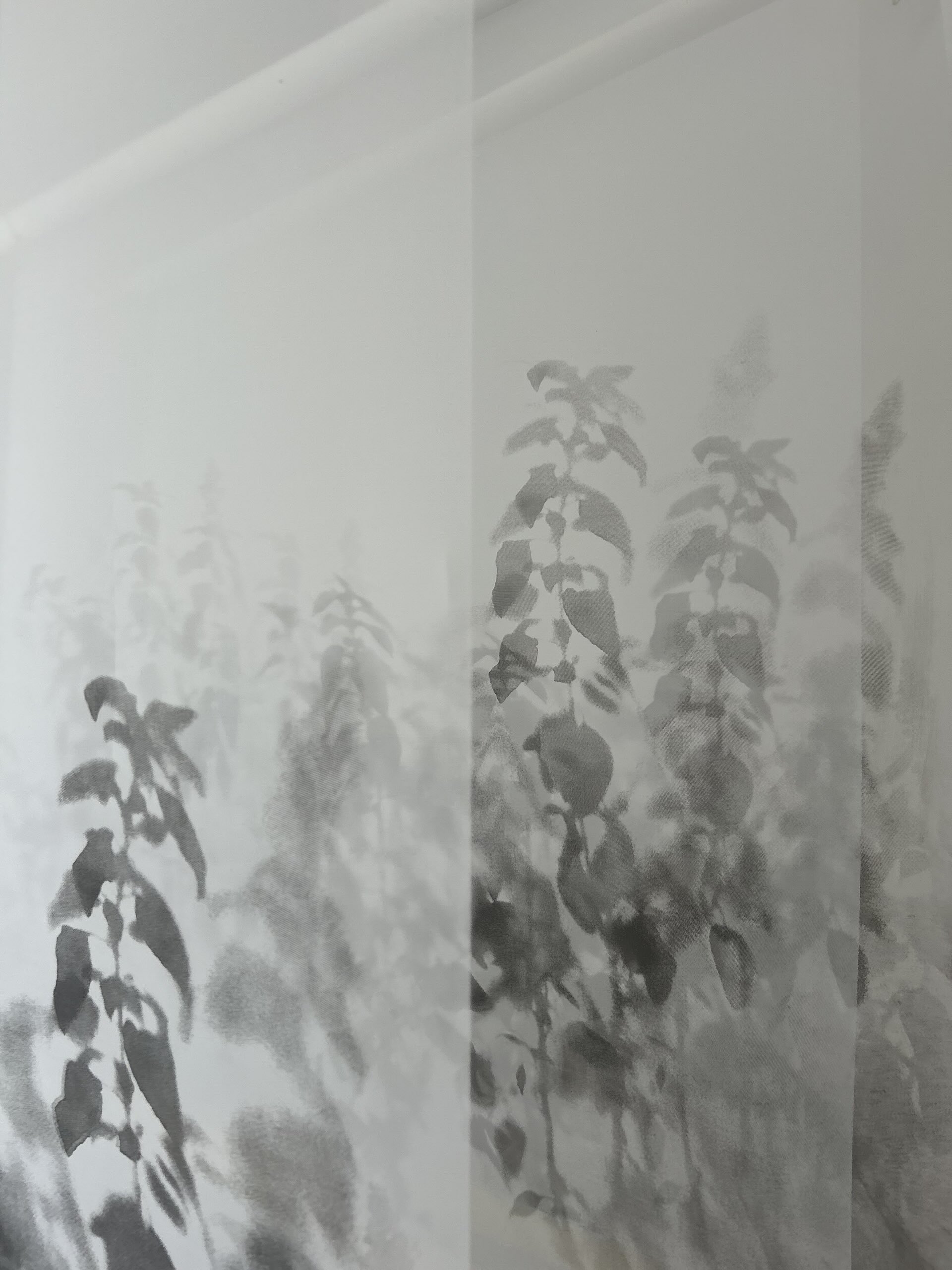 法特瑪・阿布杜哈迪，《留下的⋯⋯盡可能長存》，2025。絹印於透明網布、不鏽鋼懸吊結構、九層塔植栽，共18幅，每幅 400 x 90 公分。圖像由藝術家提供。