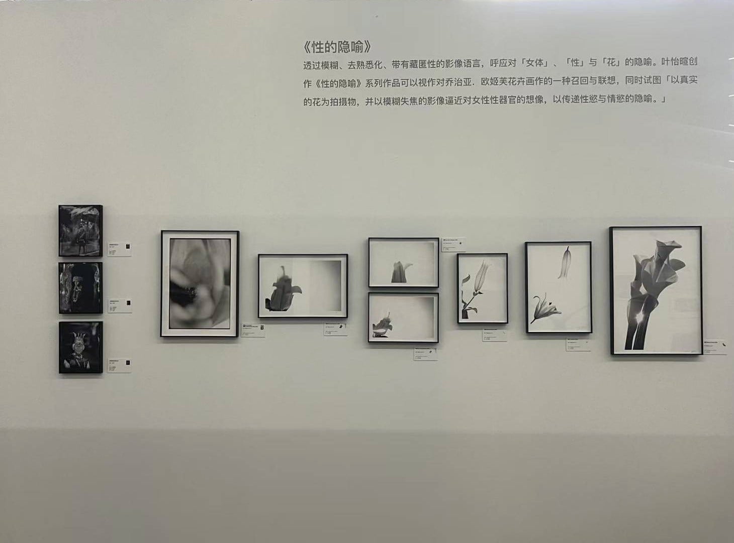 葉怡暄「性的隱喻」系列之作，將於2025年9月19日9月23日於「2025 平遙國際攝影大展」展出。（藝術家提供）