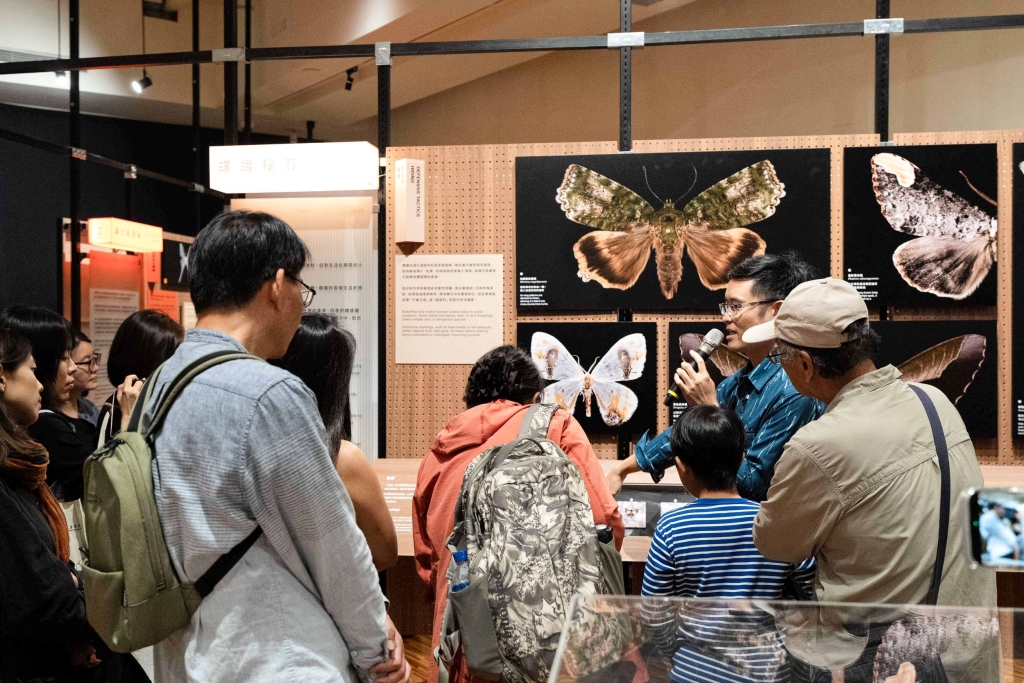 策展人吳士緯介紹臺灣蝶與蛾面對日間鳥類天敵的生存策略