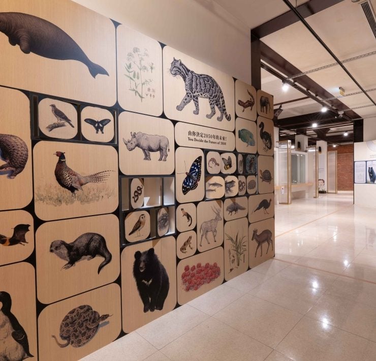 臺博館「第六次大滅絕？命運還是機會」特展 跨界合作再現地球生命危機