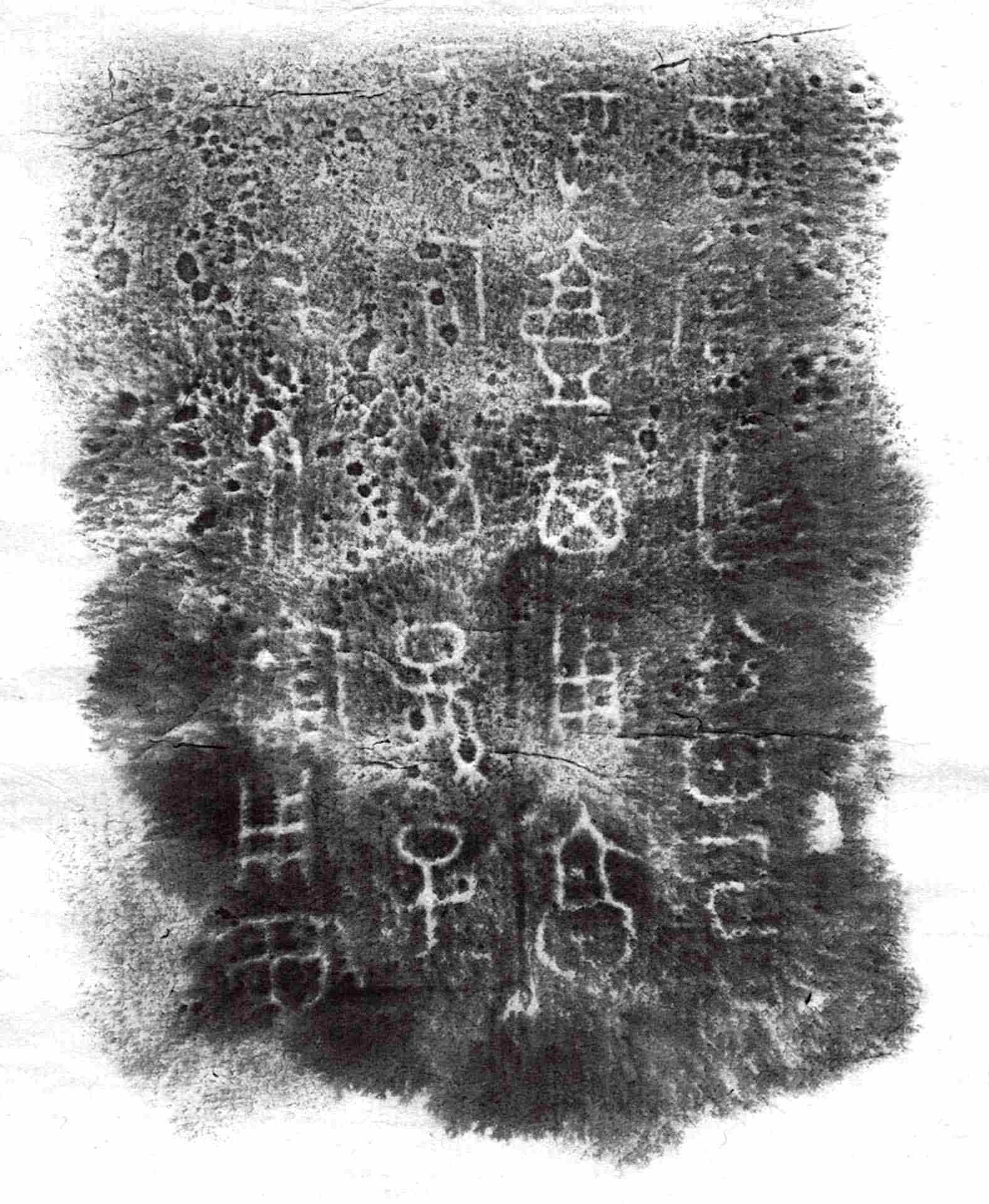 圖5 〈周㗬壺〉壺内銘文拓本，私人收藏。
