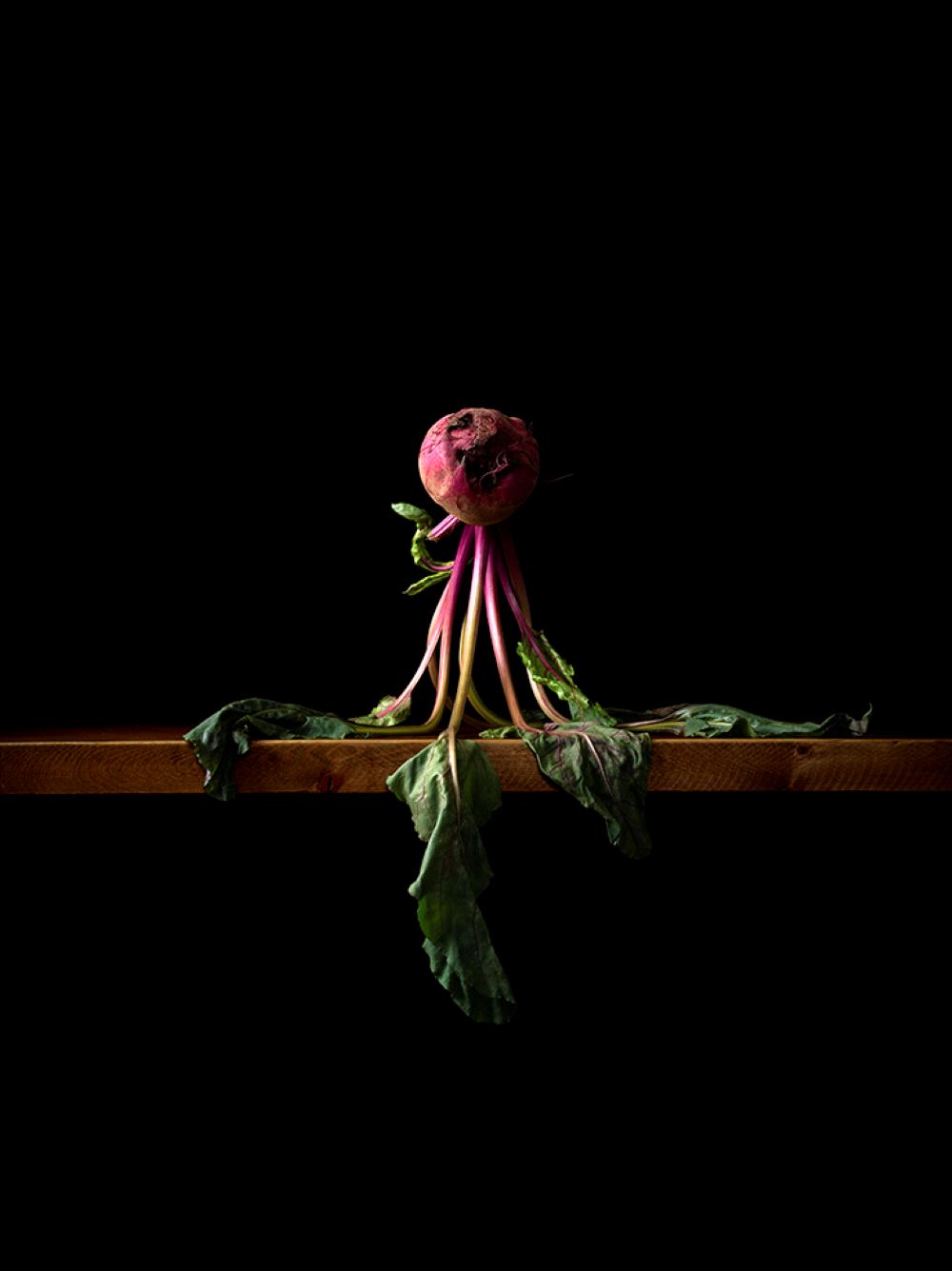 gallery UG 將展出板谷麗的《甜菜沙拉 Beet Salad》，銀鹽印刷，42.4×34.9，2023。（ONE ART Taipei提供）