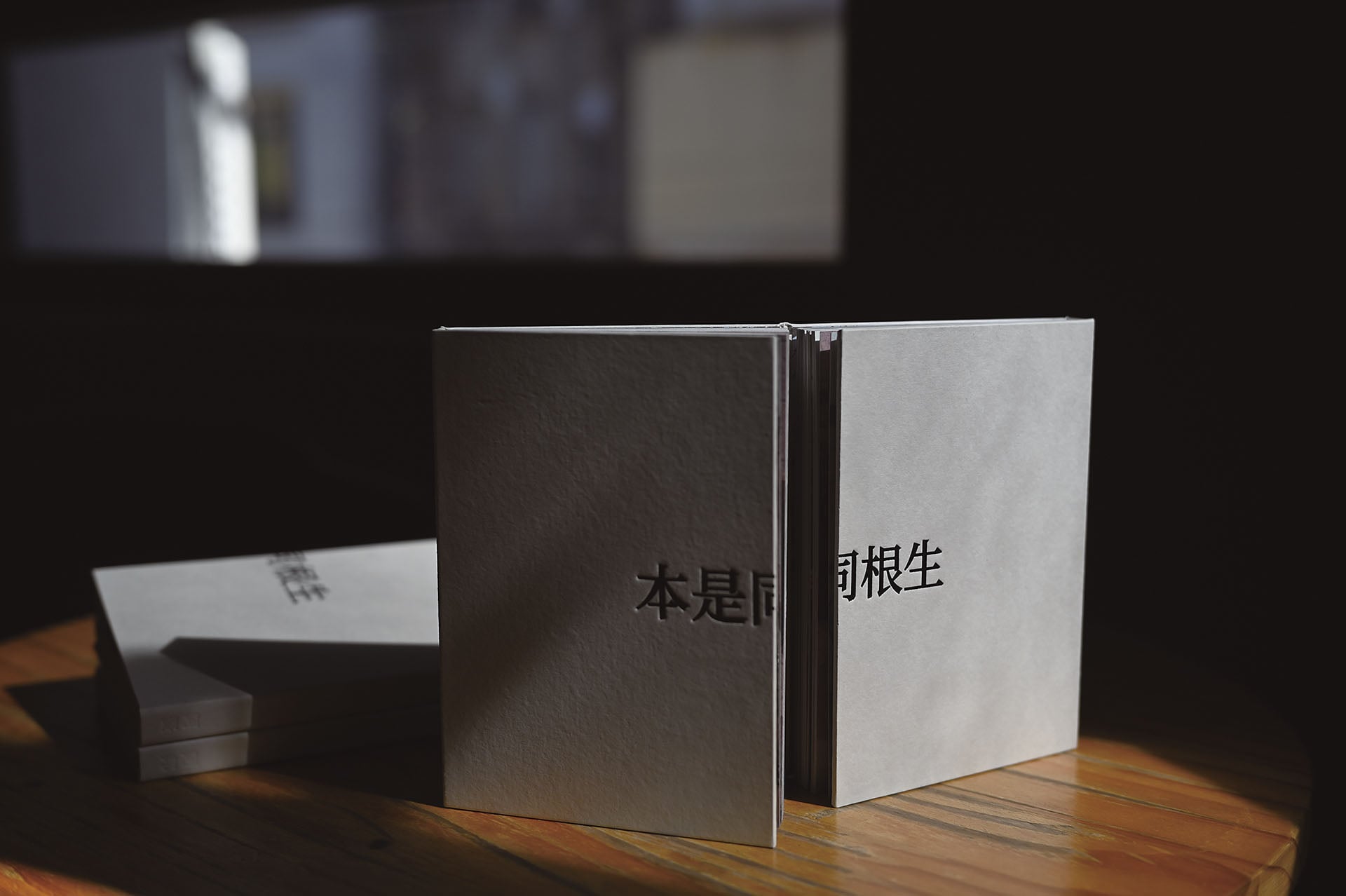 《本是同根生》在設計上以雙開形式，讓蔡定邦與哥哥阿賢的故事朝不同方向展開，並互為映照。（蔡定邦提供）