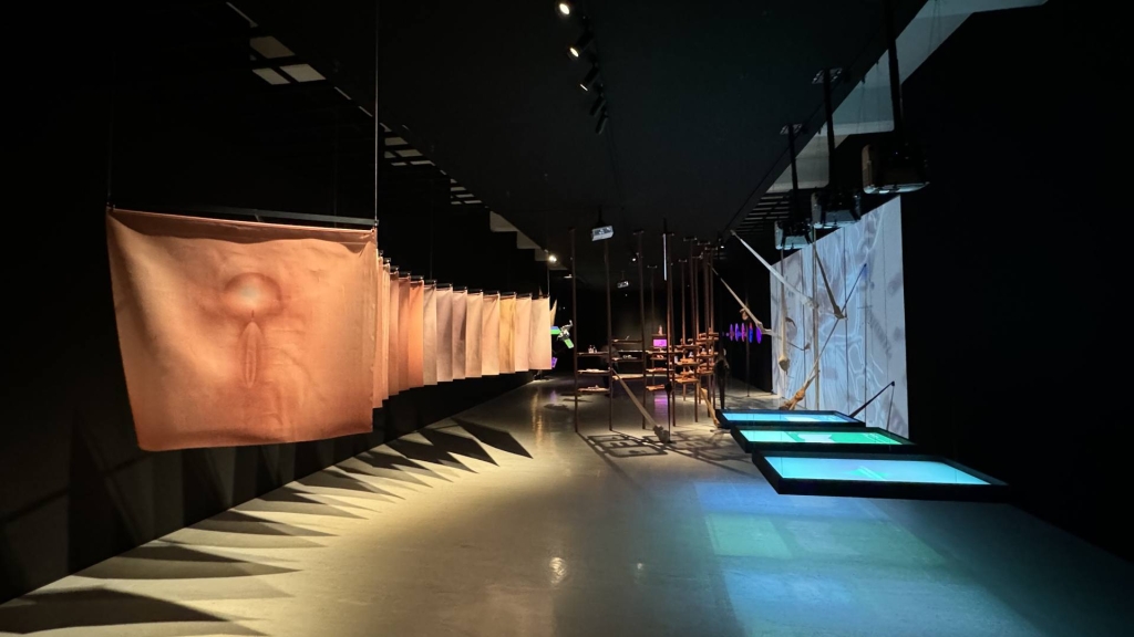 優選獎得主顧廣毅《酷兒解剖學圖譜》展區風景。（本刊資料室，攝影／李京樺）