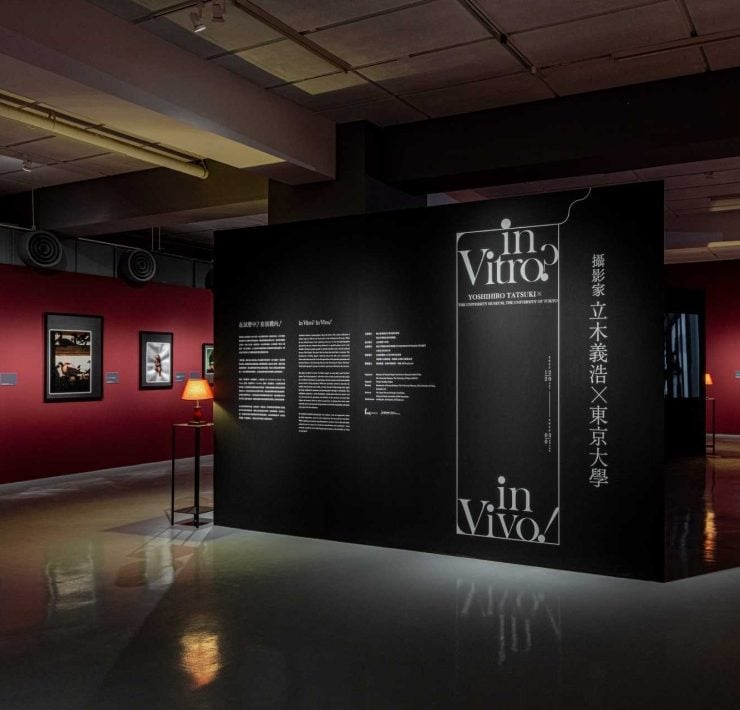 web台北-北師美術館-展場攝影-32_北師美術館提供，攝影：dulub studio
