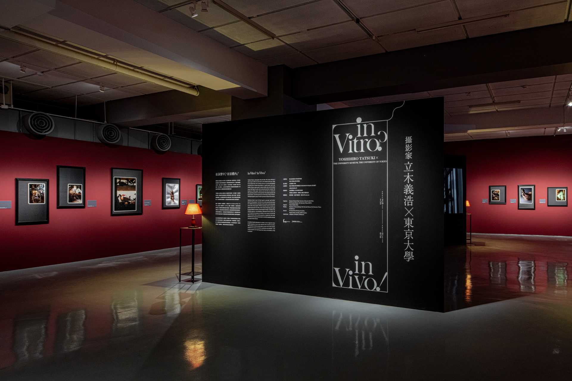 「in Vitro？in Vivo! 在試管中？在活體內！」展場風景。（北師美術館提供，攝影／dulub studio）