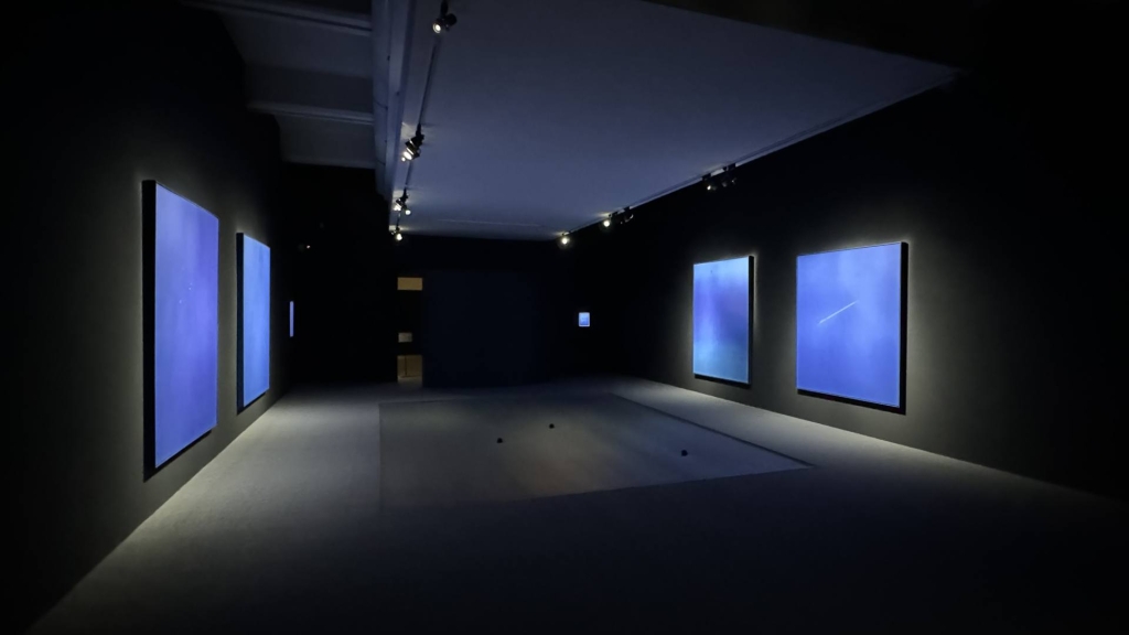 首獎得主謝榕蔚《軌道》展區風景。（本刊資料室，攝影／李京樺）