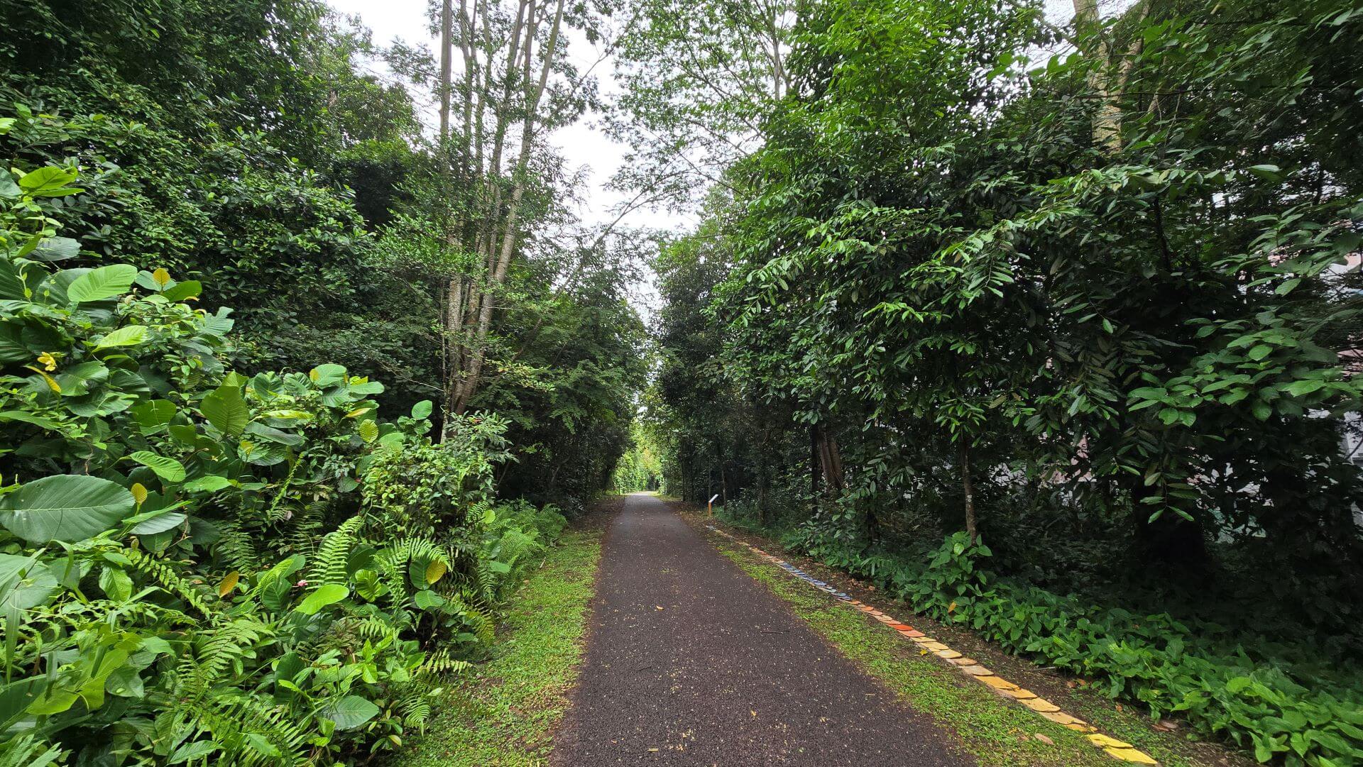 綠意盎然的鐵路廊帶（Rail Corridor），一旁地上是凱特．紐拜（Kate Newby）的作品《穿越時間之線》（A Line Through Time）。（攝影／高森信男）