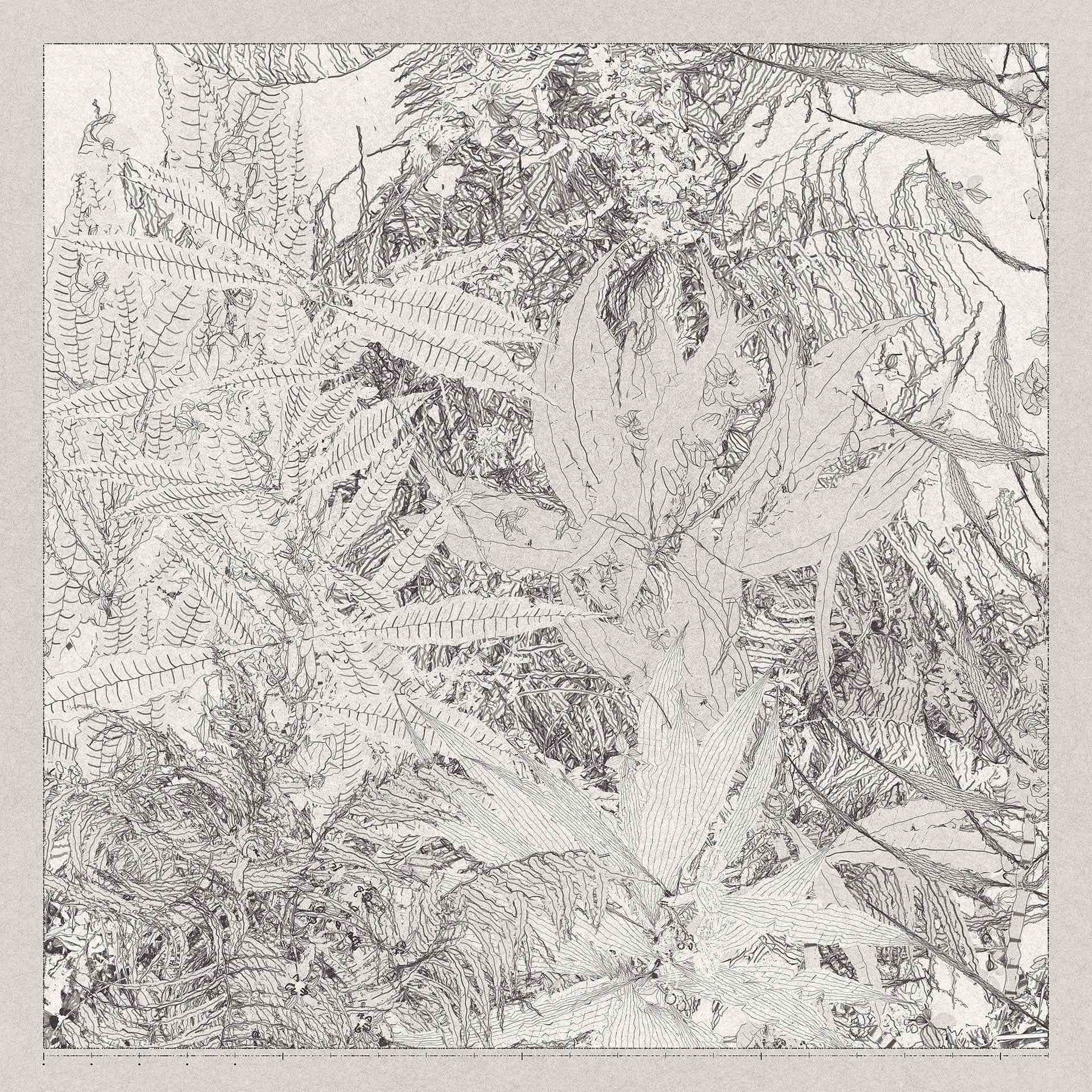 圖為王新仁Aluan Wang的作品《植徑集》(Polypaths)。(王新仁Aluan Wang提供)