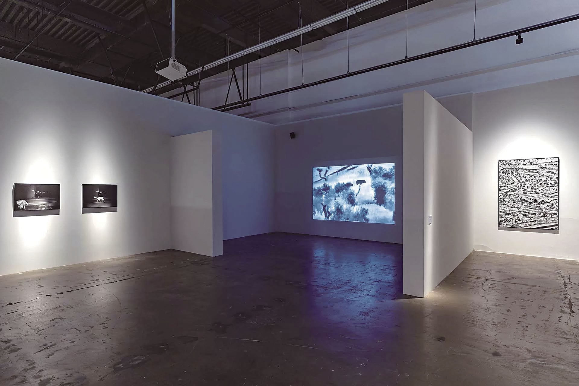 第15屆光州雙年展「盤索里：21世紀的音景」中，內塔．勞弗的《25英尺》記錄了巴勒斯坦隔離牆沿線的動物與景觀，展現了監控技術如何操控環境的敘事空間。（第15屆光州雙年展提供）