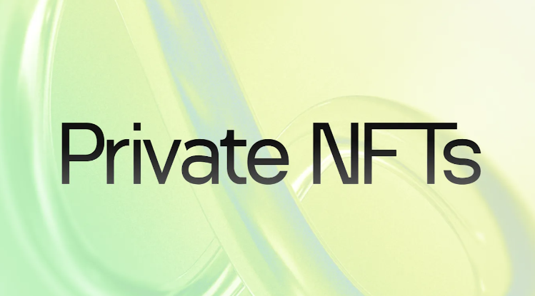 Aleo官網標榜「隱私 NFT」。