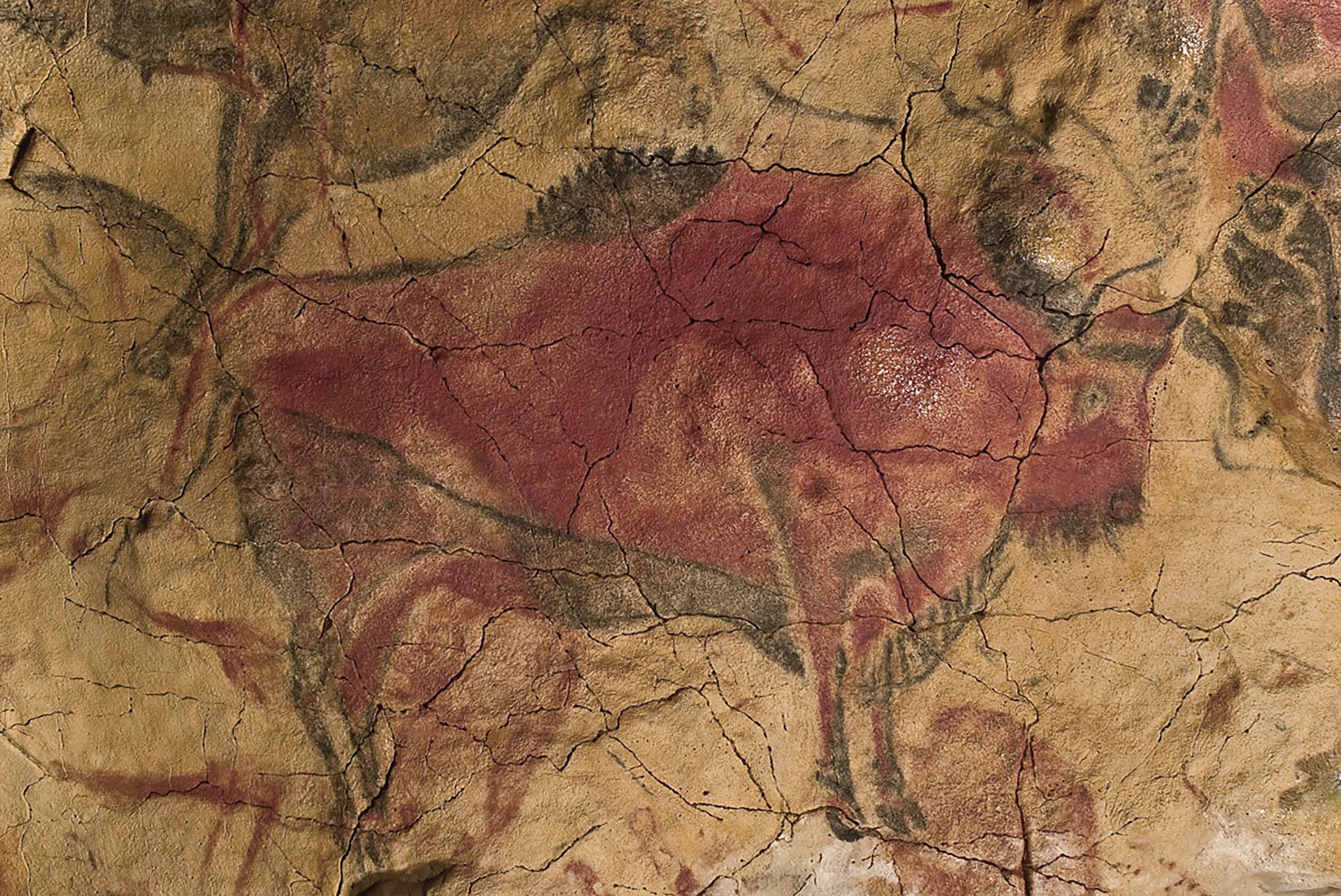 阿爾塔米拉洞（Cueva de Altamira）位於西班牙舊石器時代晚期遺蹟，繪有野牛、猛獁象等多種動物，是首個被發現繪有史前壁畫的洞穴。但直到1902年，洞穴壁畫的真實性才得到學界認可。圖為《馬格達林文化多彩野牛壁畫》（Bison Ma…