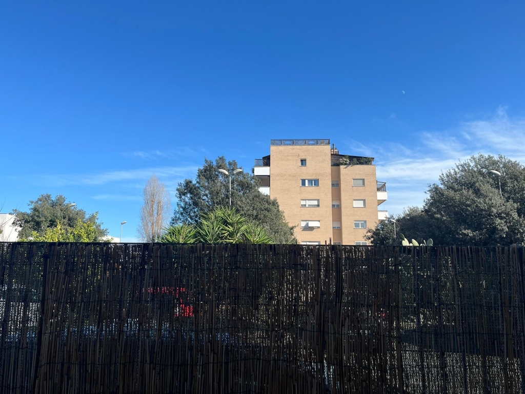 讀完《我們的院子裡有駝鹿》，忍不住探頭想知道有沒有駝鹿等候在窗外？