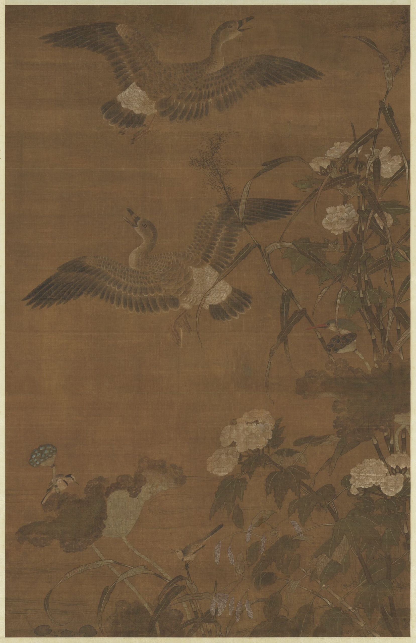 宋 崔白|秋浦蓉賓 軸 軸 宋代 收藏:國立故宮博物院(台北) CC BY 4.0