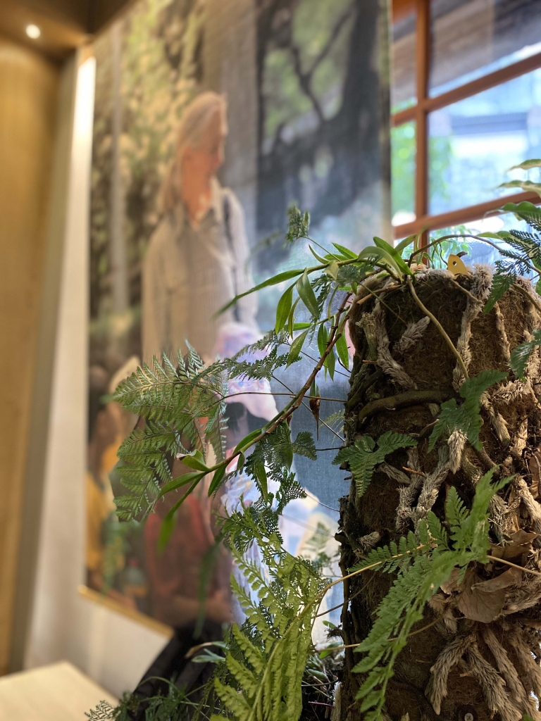 植物成為展覽設計的一部分，讓展場內外的界線悄然消融。