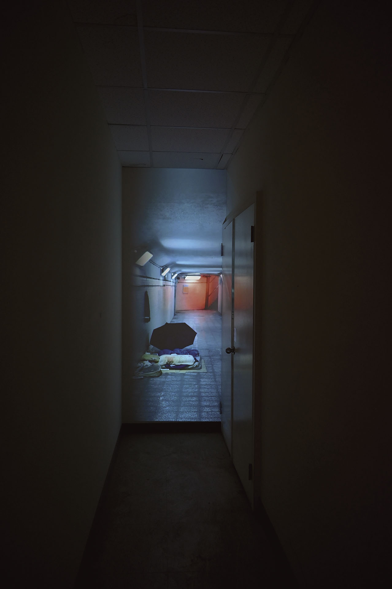圖為張祖維策劃「蛇的盤繞比鼴鼠的洞穴更為複雜」展出一景。（攝影／趙詠安、張祖維）