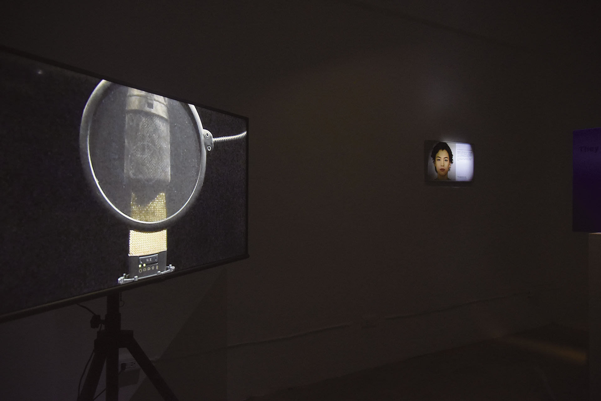 圖為林郁晉策劃「鏡迷宮｜鄭翔宇個展」於水谷藝術空間展出一景。（鄭翔宇提供）