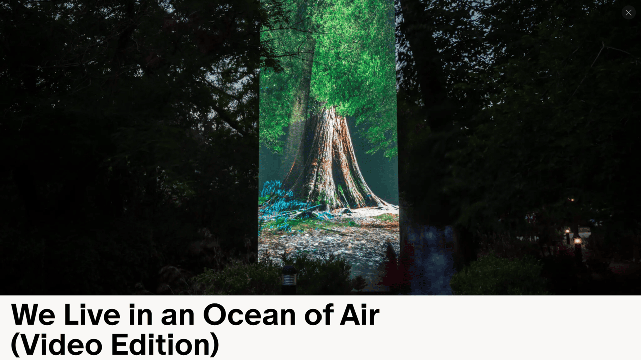 《We Live in an Ocean of Air》錄像版圖示（圖／Marshmallow Laser Feast），出自本文提到的 VR 穿戴裝置版本的展覽（2018，見 Saatchi Gallery）