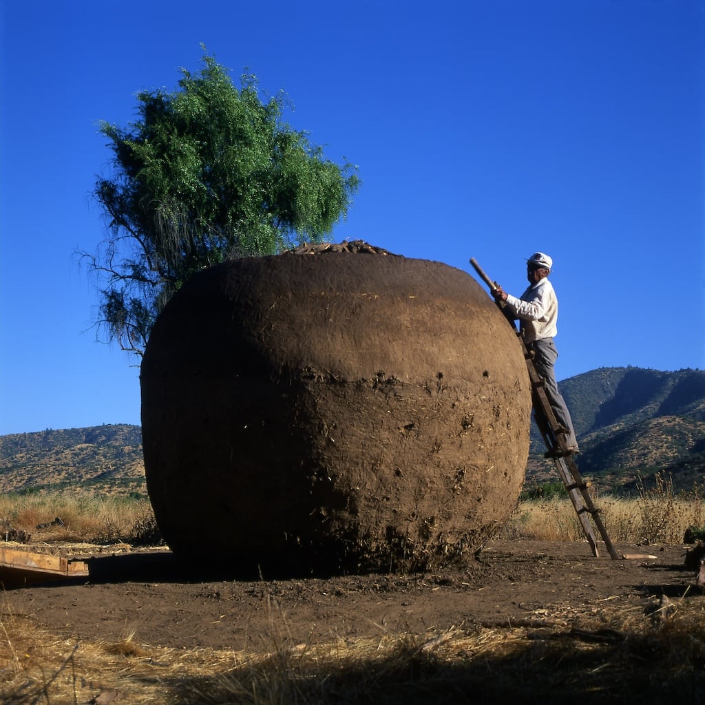 卡博內羅小屋。（©The Pritzker Architecture Prize）