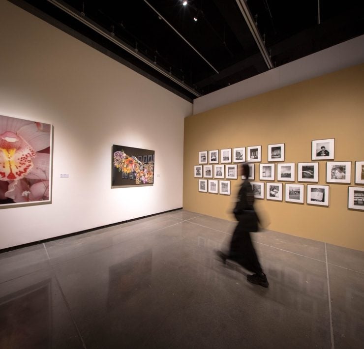 從煙霧到花開：屏東縣立美術館開館首展「當繁花盛開—日本當代藝術展」