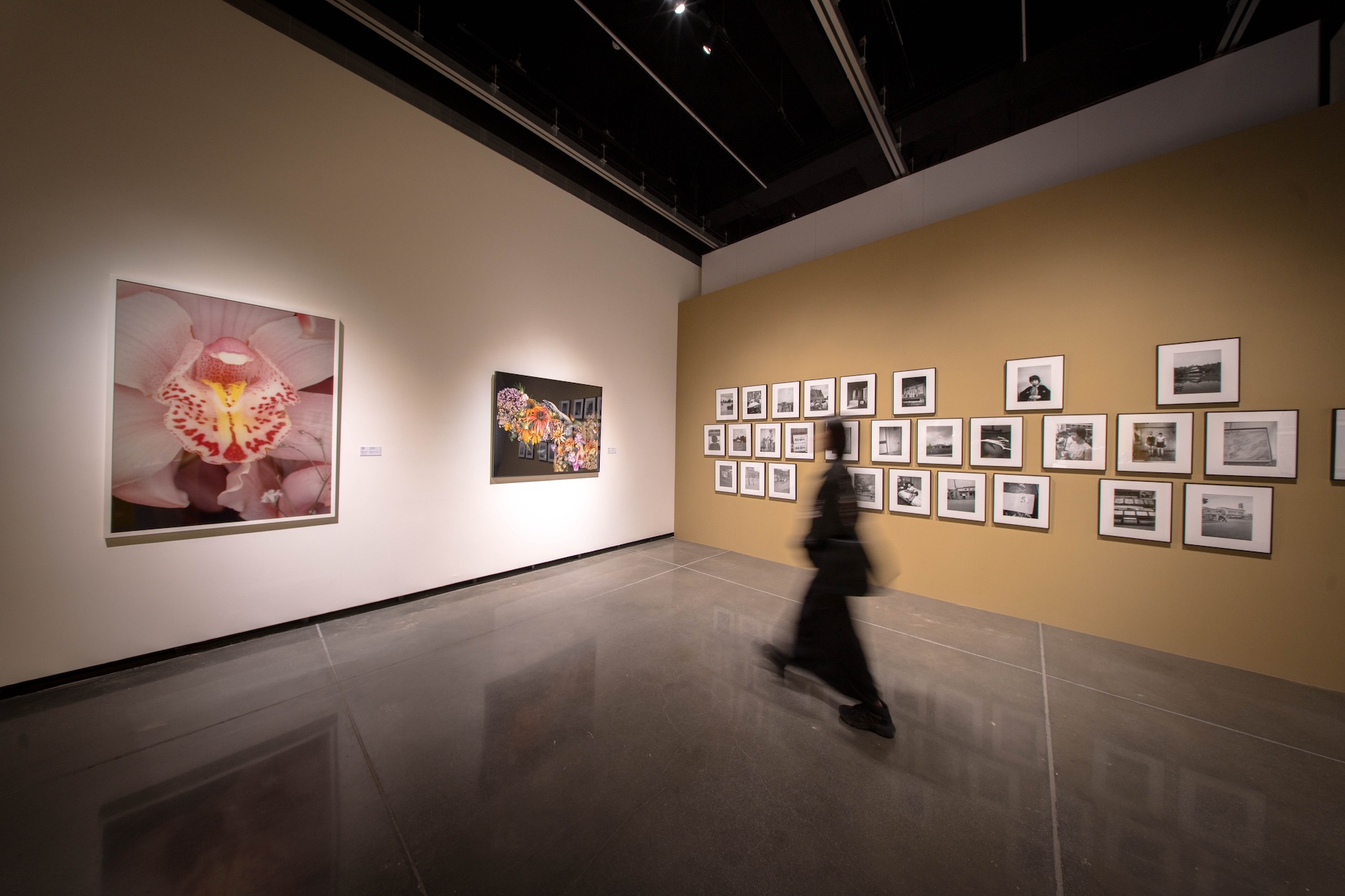 「艷影與日常：愛慾凝視」展區。（屏東縣立美術館提供）