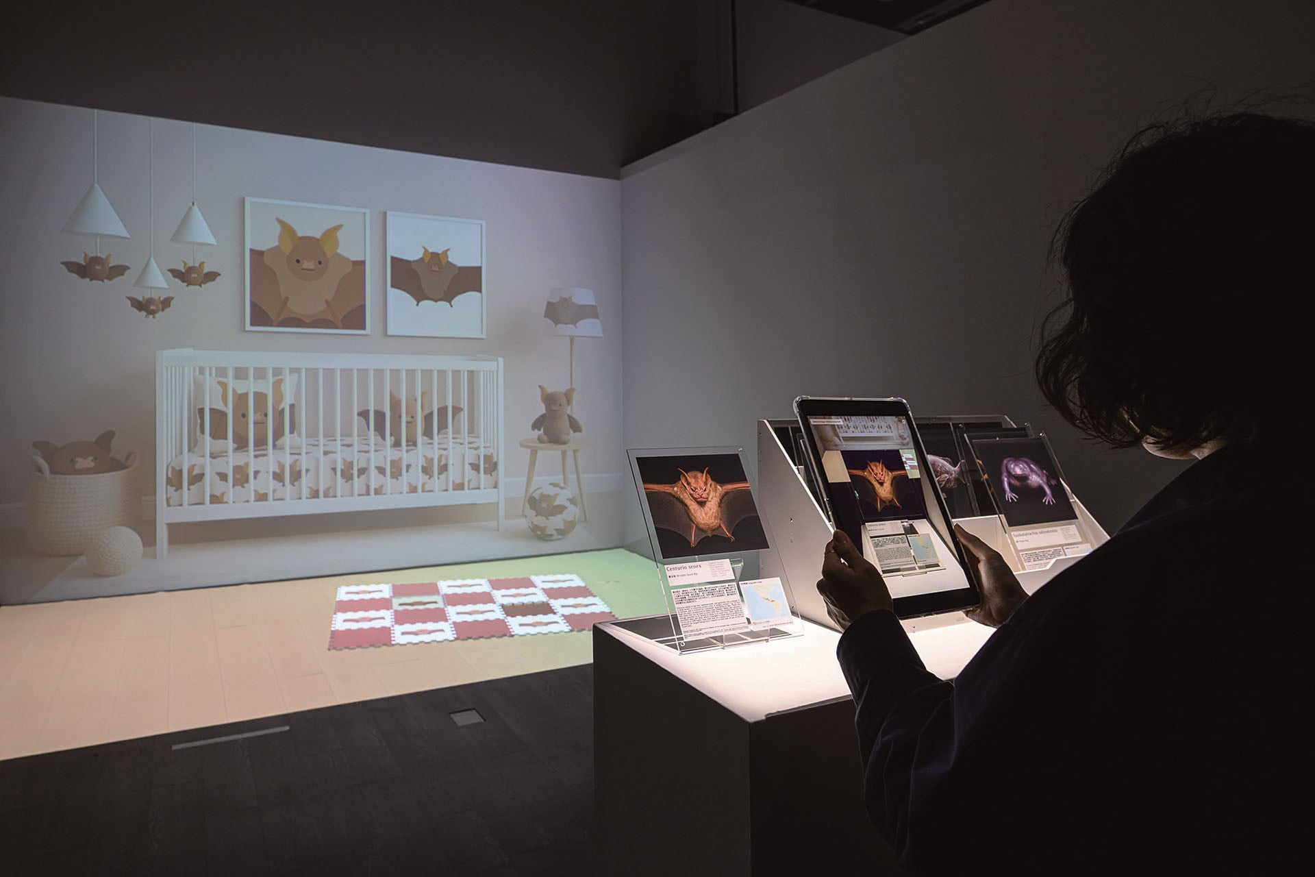 圖為林承緯策劃「環世界日誌」中，王懷遠《可愛動物主義》展出一景。（攝影／ ANPIS FOTO 王世邦，台北當代藝術館提供）