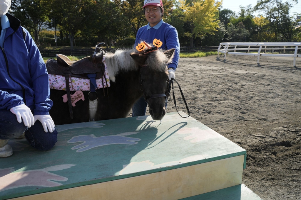 文學館外面有個兒童馬場，可以讓小朋友免費體驗騎馬