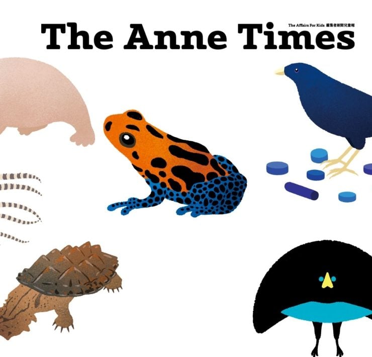 【專題│安妮新聞 The Anne Times】30.不只吸睛！超越外貌的生存智慧—— 從大自然學到的多元審美課