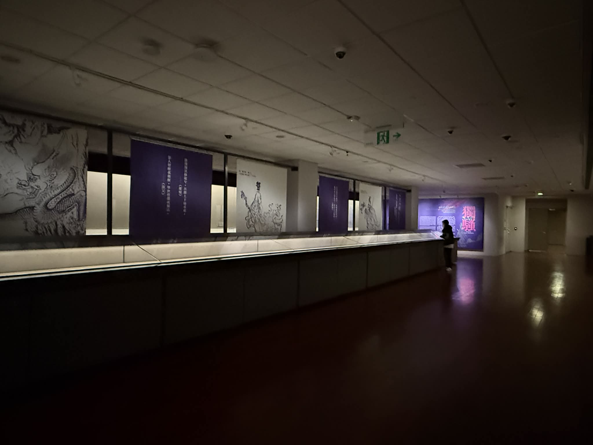 「獨騷－楚辭文化意象與龍舟」展覽現場。攝影林宛儒。