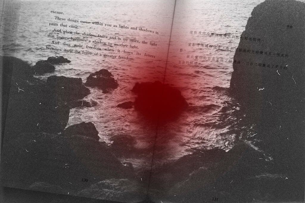 「母親小島」系列之一。（藝術家提供，©WU CHIA YUN）