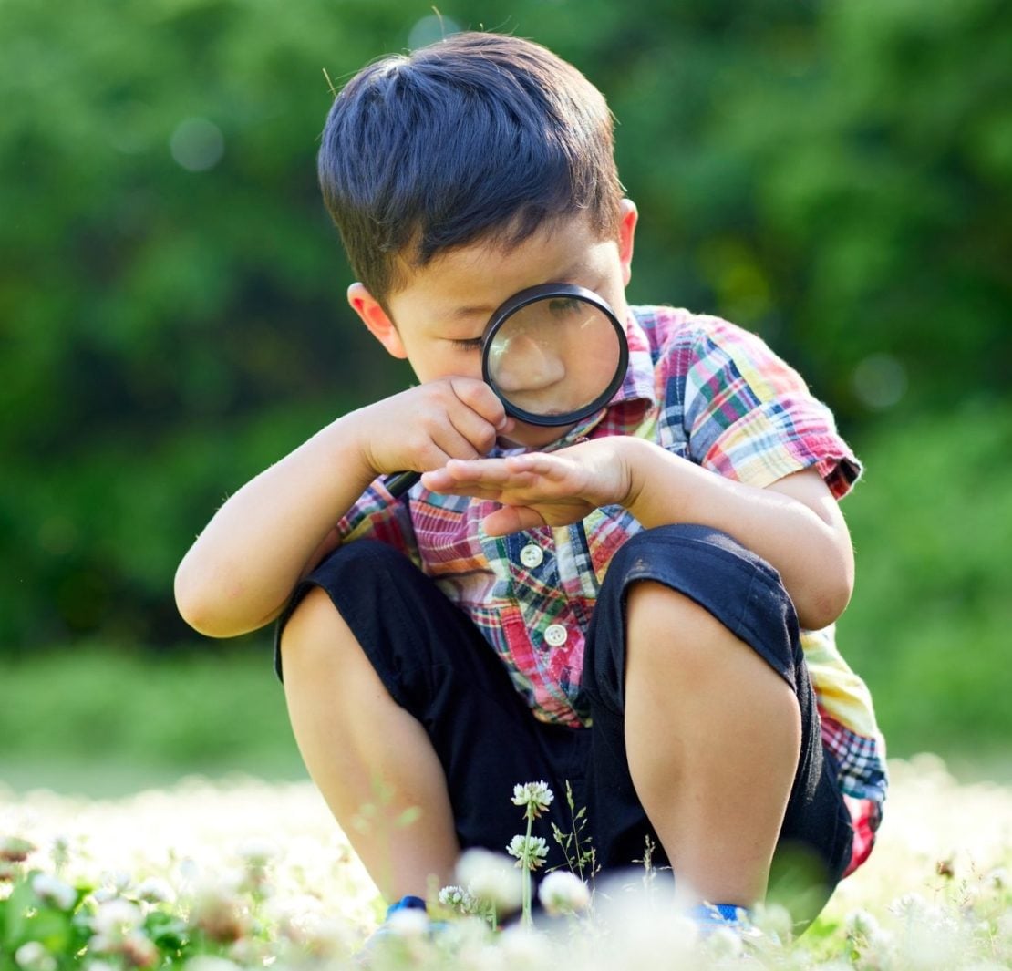 打開五感,感受大自然《未來孩子的競爭力:SUPER教師林彥佑給父母與老師的50篇教育思維》