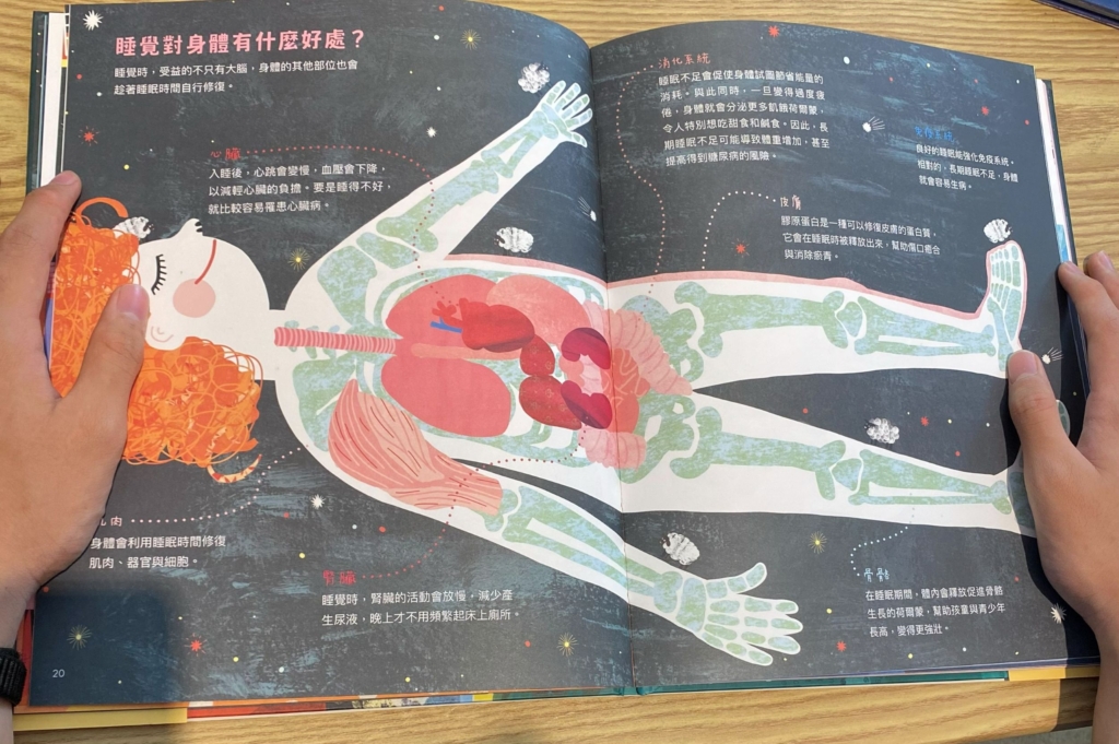 《為什麼要睡覺？》的插圖也十分精彩，一頁可以看一整晚