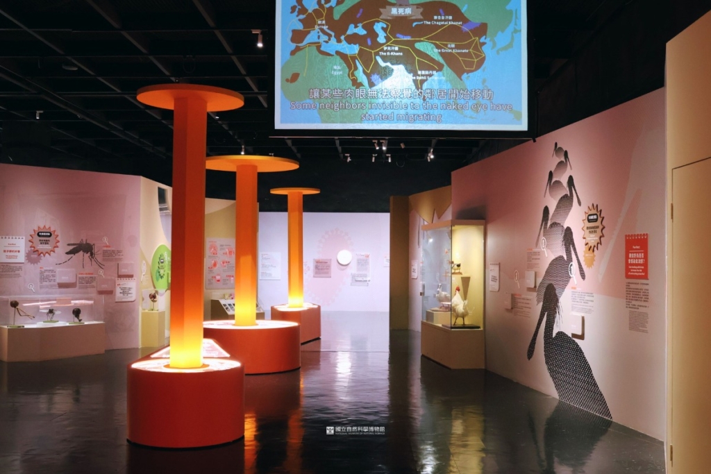 科博館、國衛院《看見你我他牠它》特展 邀觀眾化身探險者 解密健康一體行動密碼