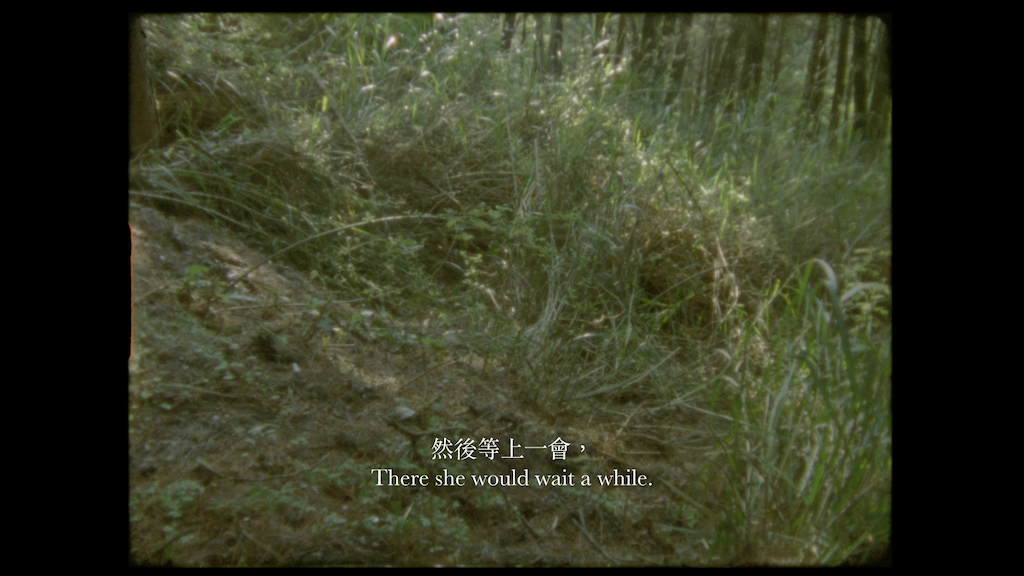《骨恆久於羽》劇照。（ TIDF提供）