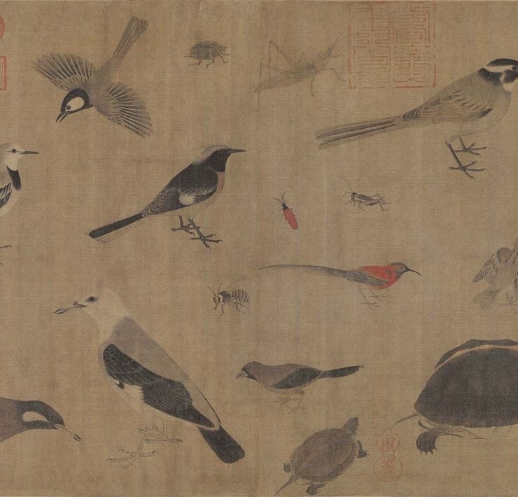 208589-05-黃筌-寫生珍禽圖
