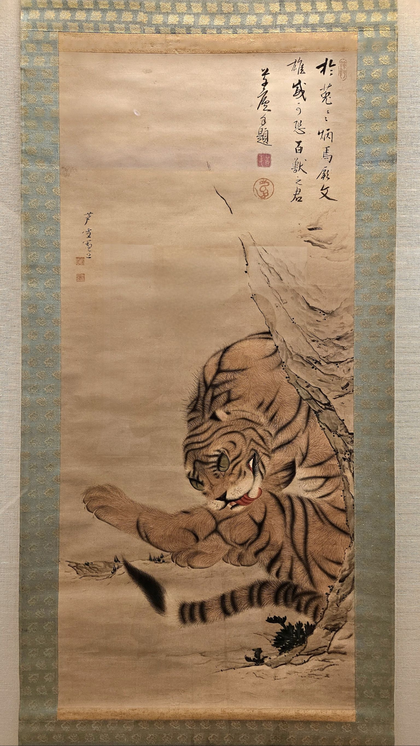 江戶時代（18世紀） 長澤蘆雪〈猛虎圖〉，絹本設色，福田美術館藏。6月3日～7月5日展出。攝影／曾信容。