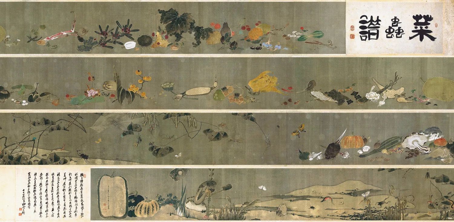 日本重要文化財 伊藤若冲寬政三年（1791）前作〈菜蟲譜〉，絹本設色，31.8×1095公分，佐野市立吉澤紀念美術館藏。4月25日～5月8日；6月20日～7月5日展出。