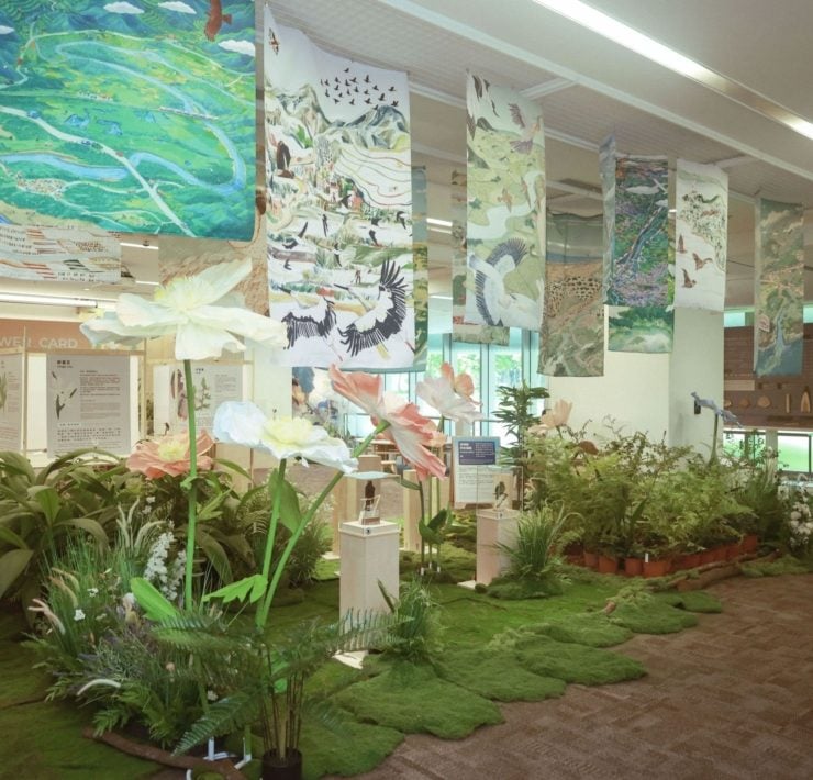 森林搬進圖書館！桃市圖《五感山徑》暑假登場 超過40種生態繪本、17種臺灣動物標本 五感體驗一次玩透透