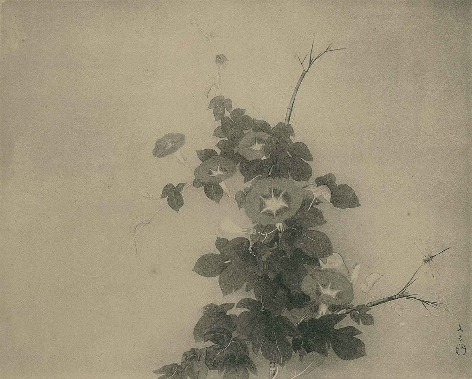 山崎文子，《牽牛花》，1932。（圖片來源：《第六回臺灣美術展覽會圖錄》）