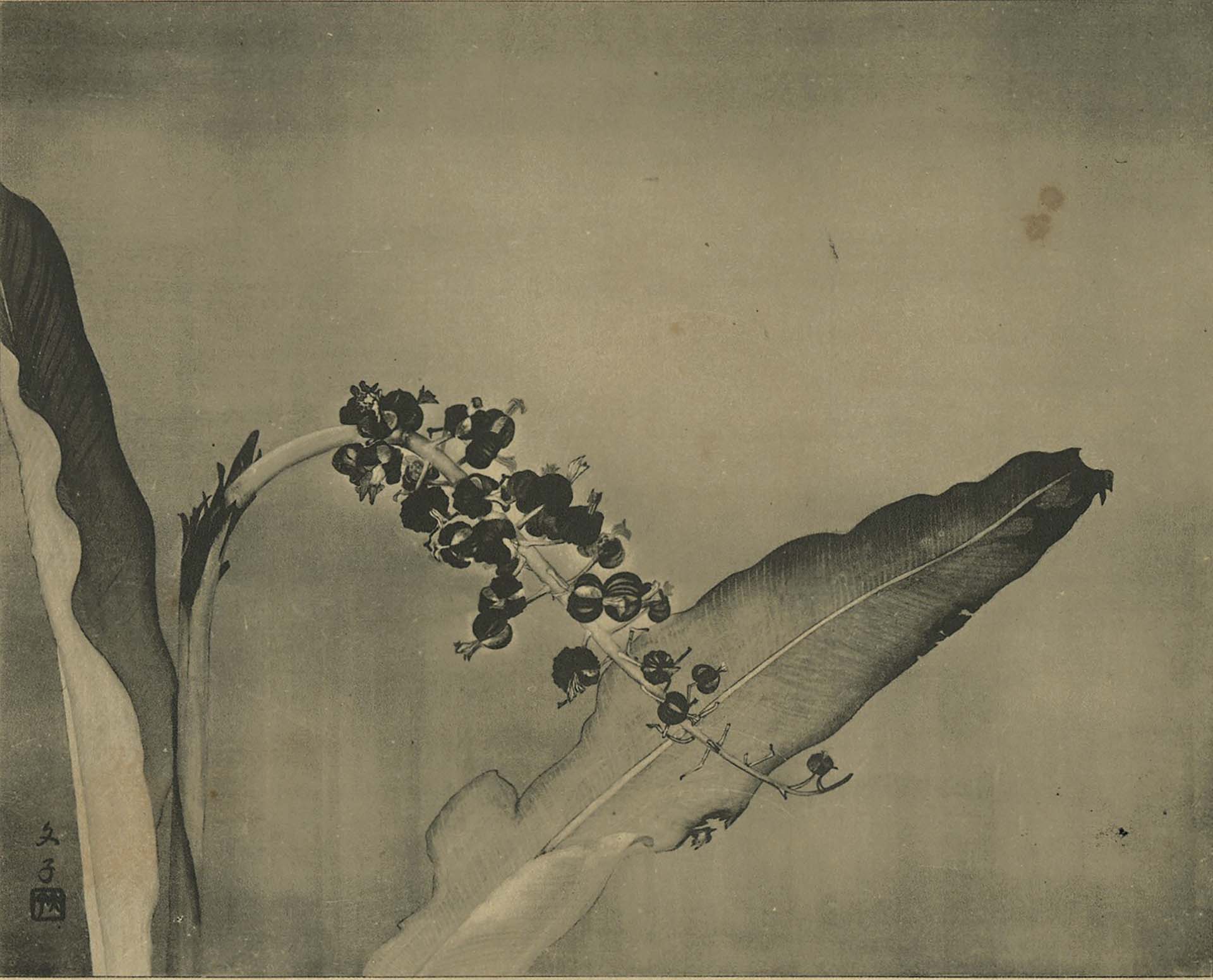 庄司文子，《月桃》，1933。（圖片來源：《第七回臺灣美術展覽會圖錄》）