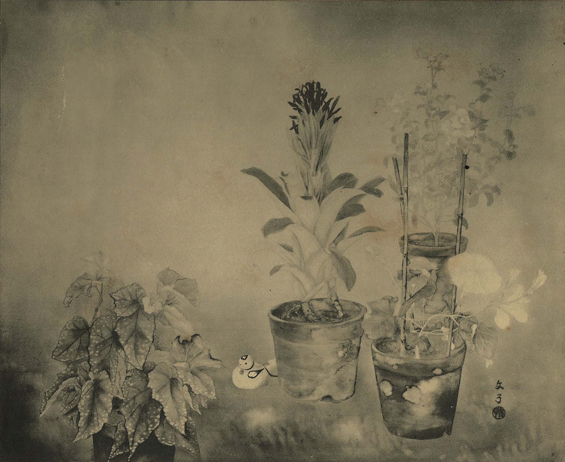 庄司文子，《朝》，1934。（圖片來源：《第八回臺灣美術展覽會圖錄》）