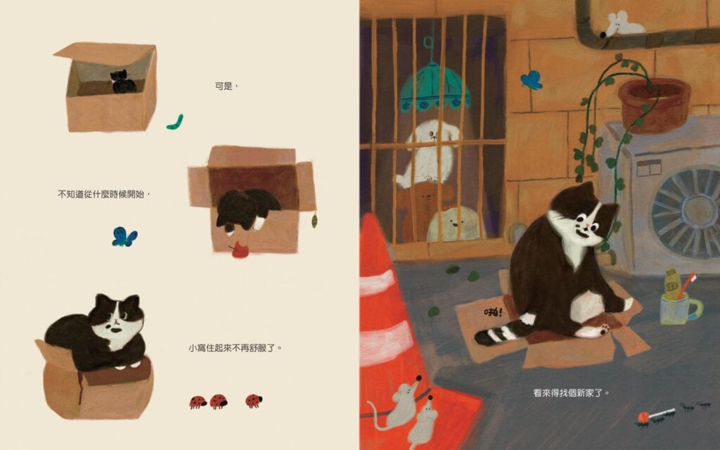 【專欄｜與故事為伍的人】《喵咪找新家》在成長的流浪裡，尋找一個剛剛好的溫暖歸屬