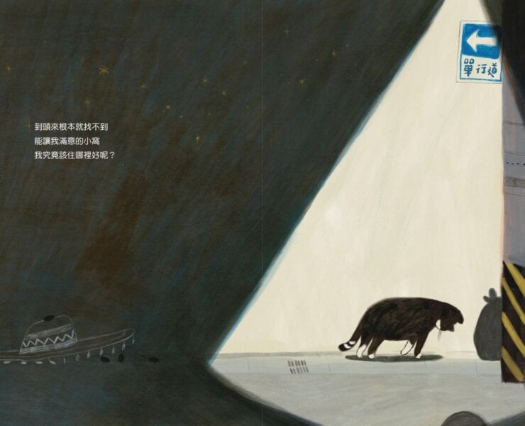 【專欄｜與故事為伍的人】《喵咪找新家》在成長的流浪裡，尋找一個剛剛好的溫暖歸屬