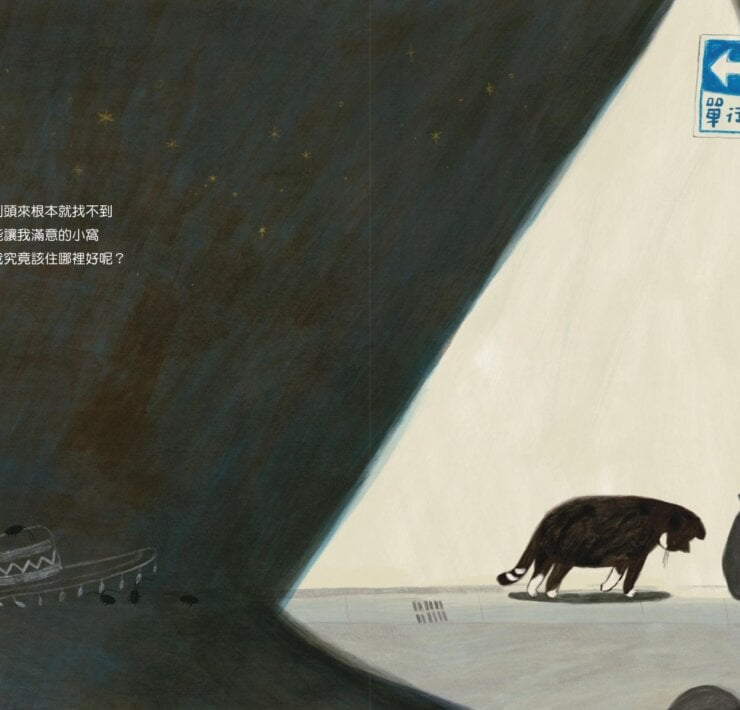 【專欄｜與故事為伍的人】《喵咪找新家》在成長的流浪裡，尋找一個剛剛好的溫暖歸屬
