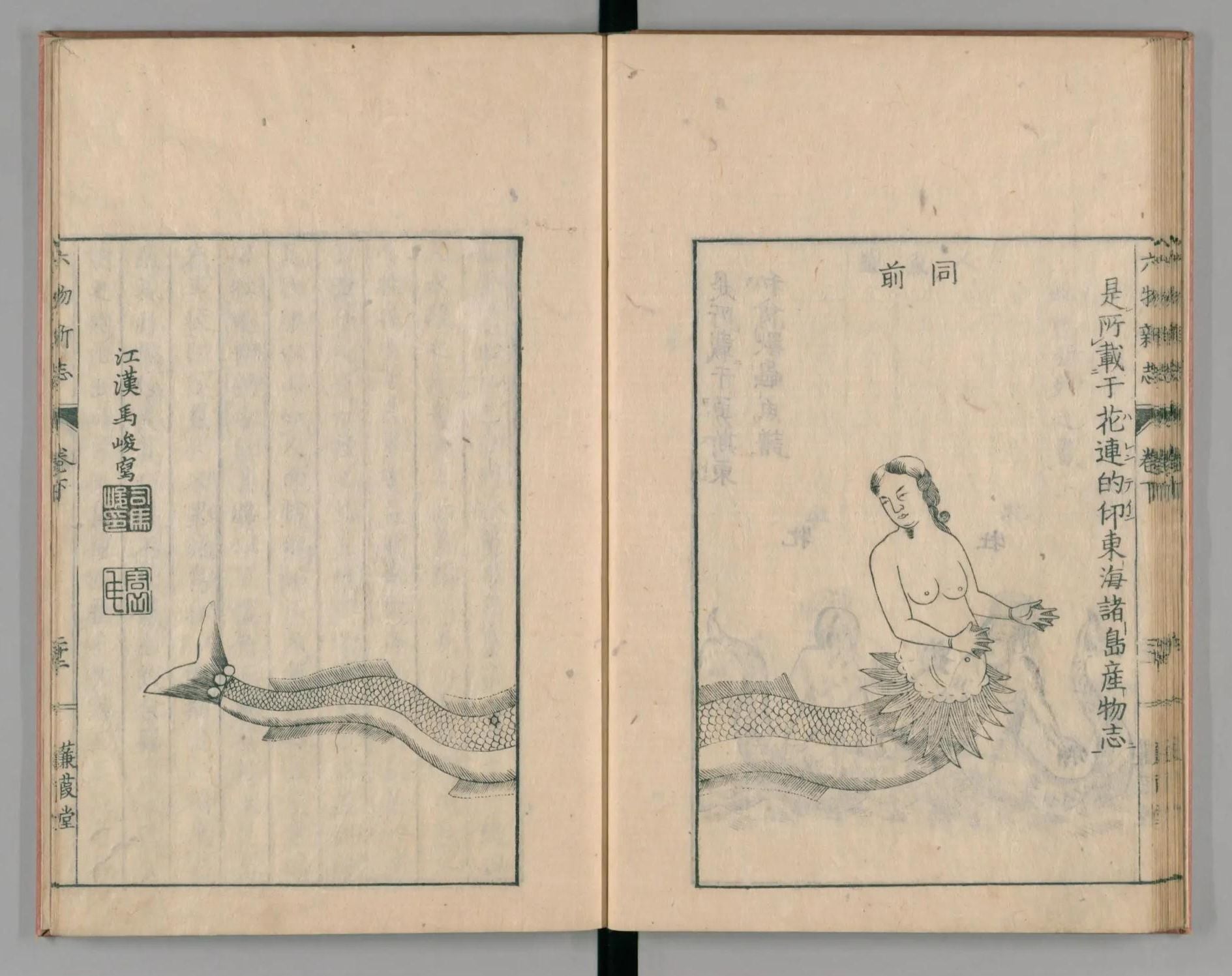 大槻玄澤1786年間出版《六物新誌》所附插圖之一。附文「是所載于花連的印（ハレンテイー）東海諸島產物志」應指該插圖出於瓦楞汀（François Valentijn）《新舊東印度誌》。圖引自日本國立國會圖書館數位典藏。
